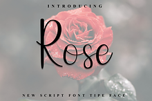 Rose