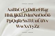 Decatlon Luxury Serif Font, a Serif Font by Wencory (Thumbnail 2 of 4)