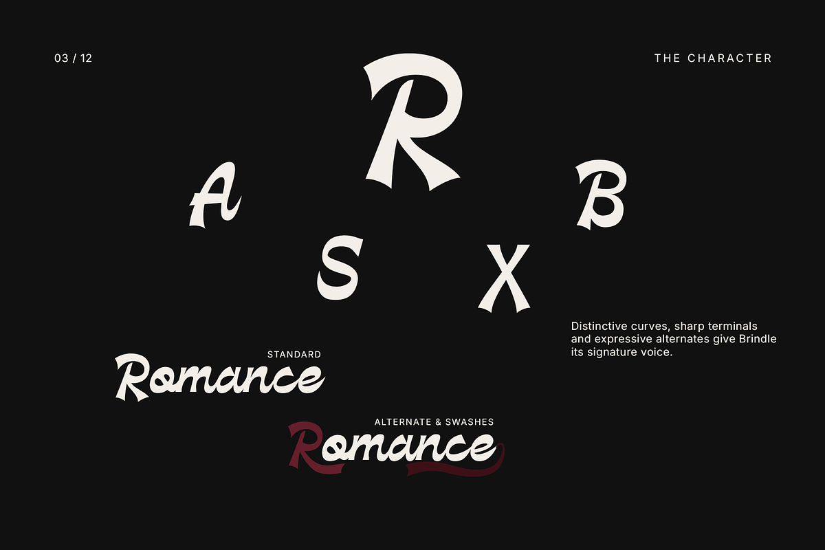 Brindle — Bold Script Display Font, a Handwritten Font by Hasbi Creative (Photo 3 of 12)