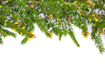 Christmas frame made of fir branches, a Holiday Photo by Photo for You