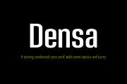 Densa Font Family, a Sans Serif Font by Graviton Font Foundry (Thumbnail 1 of 6)