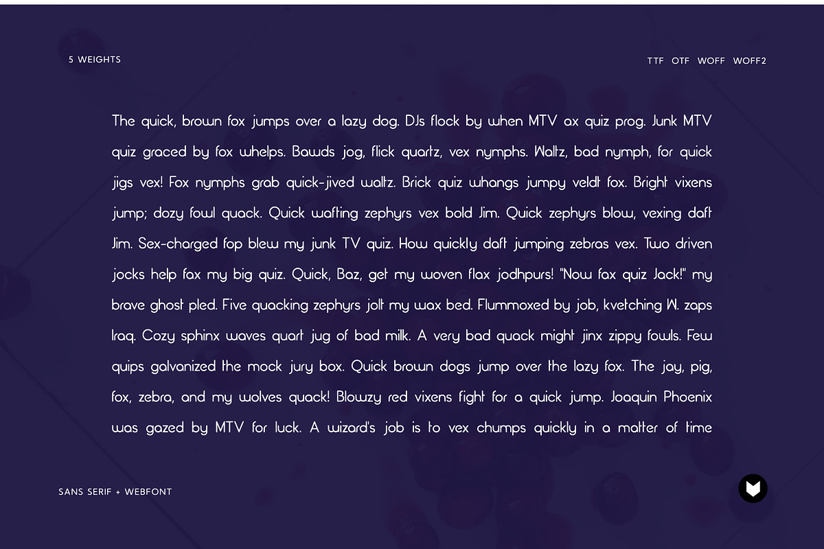 Cranberry Display Typeface, a Font by Foxtype (Photo 3 of 8)