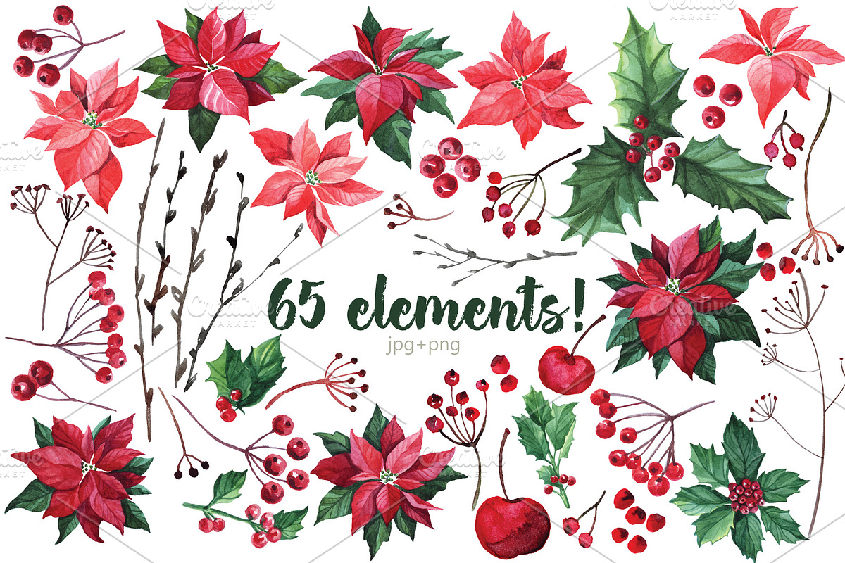 Watercolor Christmas flowers, a Decorative Illustration by YuliaBiser (Photo 2 of 10)