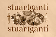Angle & Fairy Serif, a Serif Font by Typia Nesia (Thumbnail 3 of 17)