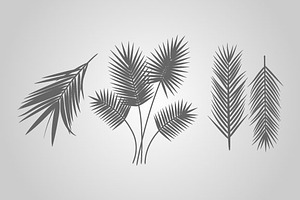 25 Tropical Designs Vector