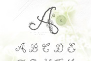 Efelious - floral monogram set, an Object Graphic by Euonia Meraki (Thumbnail 3 of 12)
