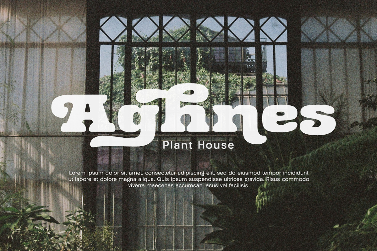 Sernest Display, a Sans Serif Font by Letterhend Studio (Photo 4 of 10)
