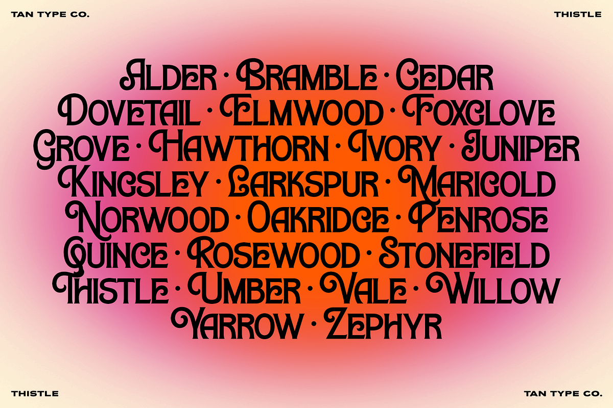 TAN-THISTLE-A DISPLAY FONT, a Slab Serif Font by TanType (Photo 9 of 10)