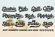 Milky -Brush Script, a Script Font by Fenotype (Thumbnail 10 of 10)