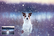 Let It Snow! Photoshop Action, an Action Add-On by Uplift Actions (Thumbnail 12 of 14)