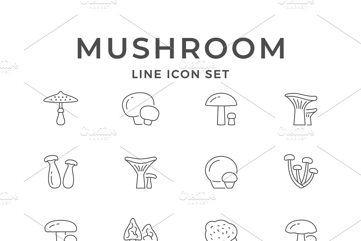 Set line icons of mushroom, an Outline Icon by motorama (Photo 1 of 2)