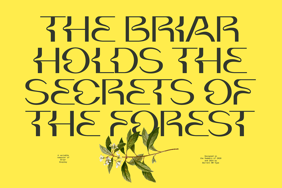 Briar - Fluid Variable Typeface, a Sans Serif Font by Barrett Reid-Maroney (Photo 6 of 10)