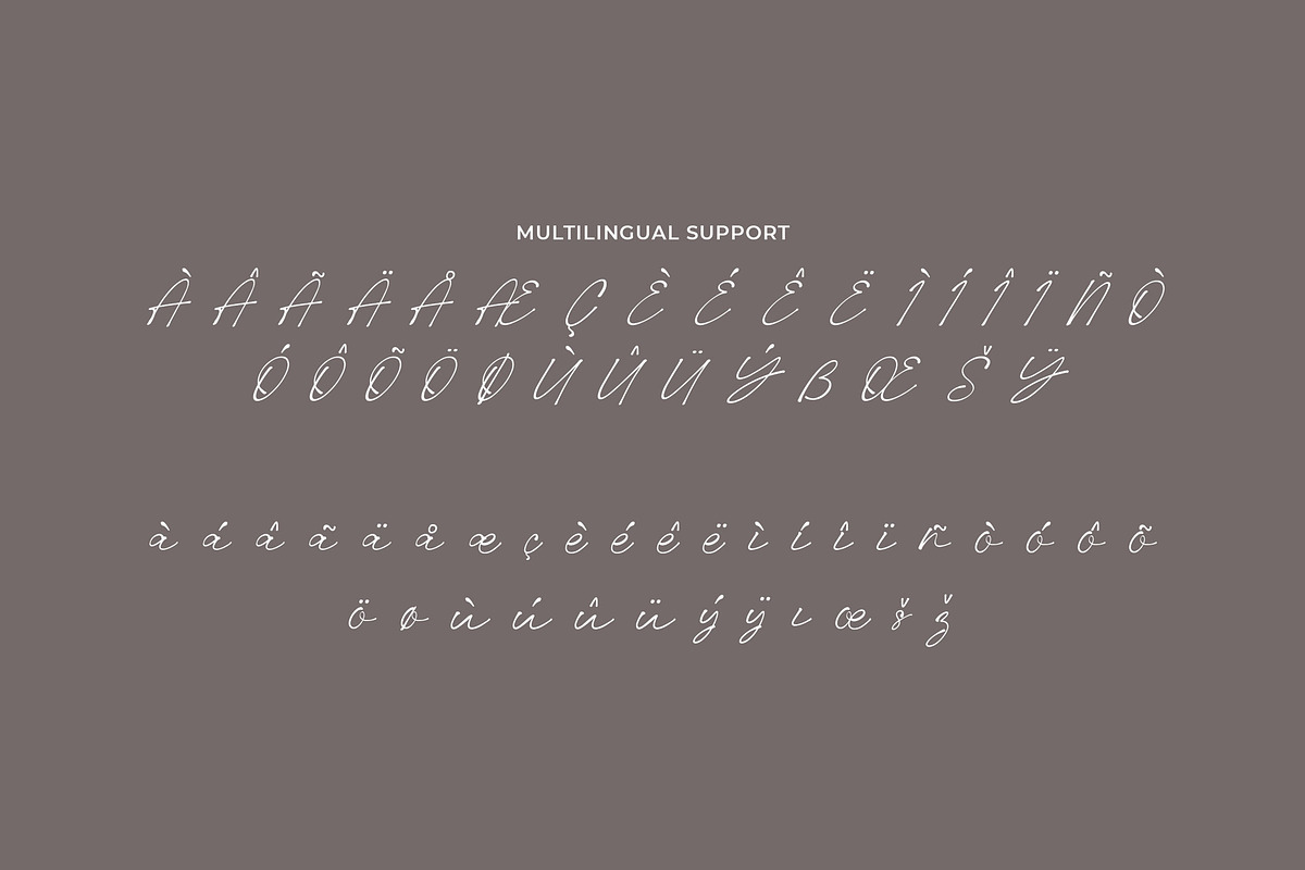 Pellegrie Signature - Script, a Script Font by Krakenbox Studio (Photo 11 of 12)