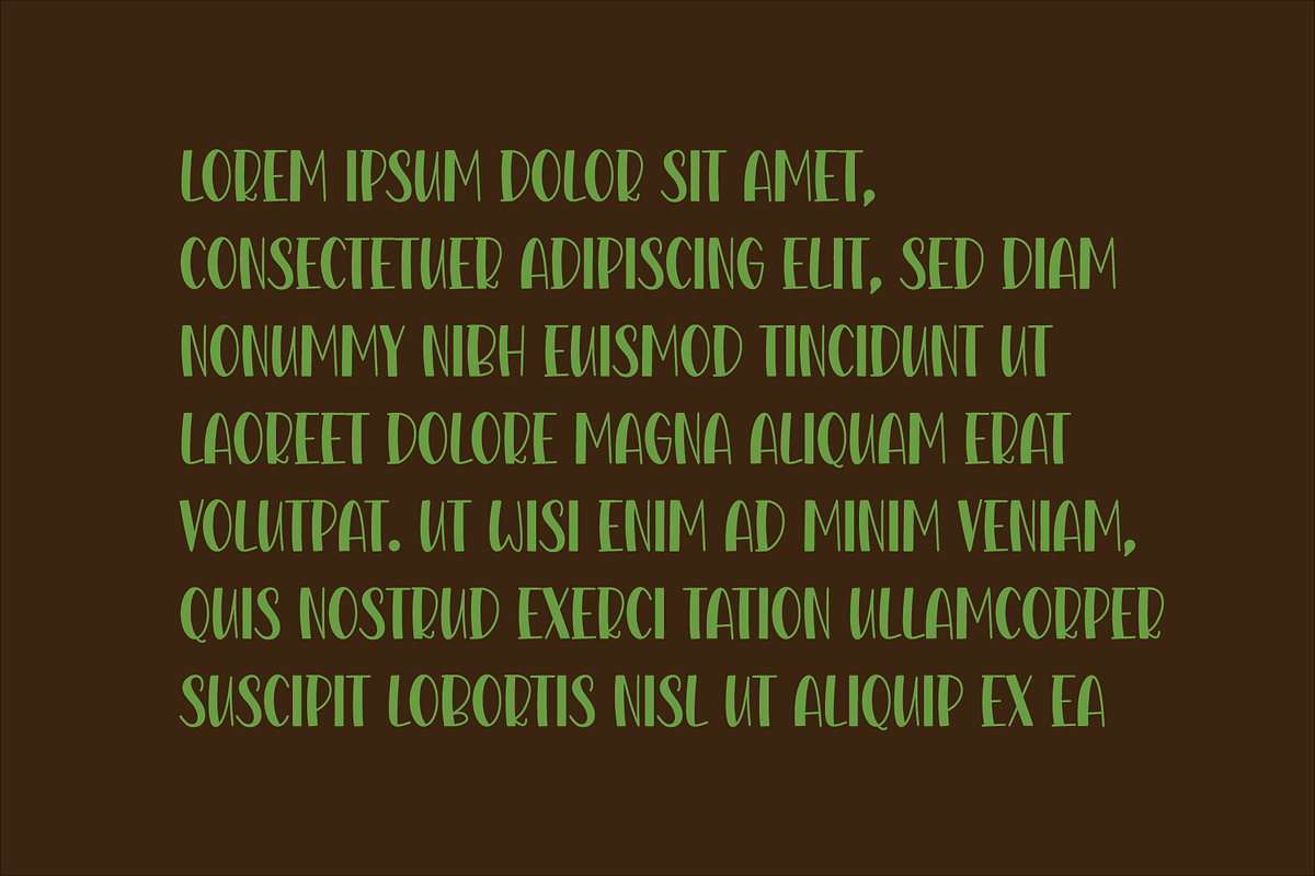 Hidden Salknow, a Serif Font by Design House (Photo 3 of 3)