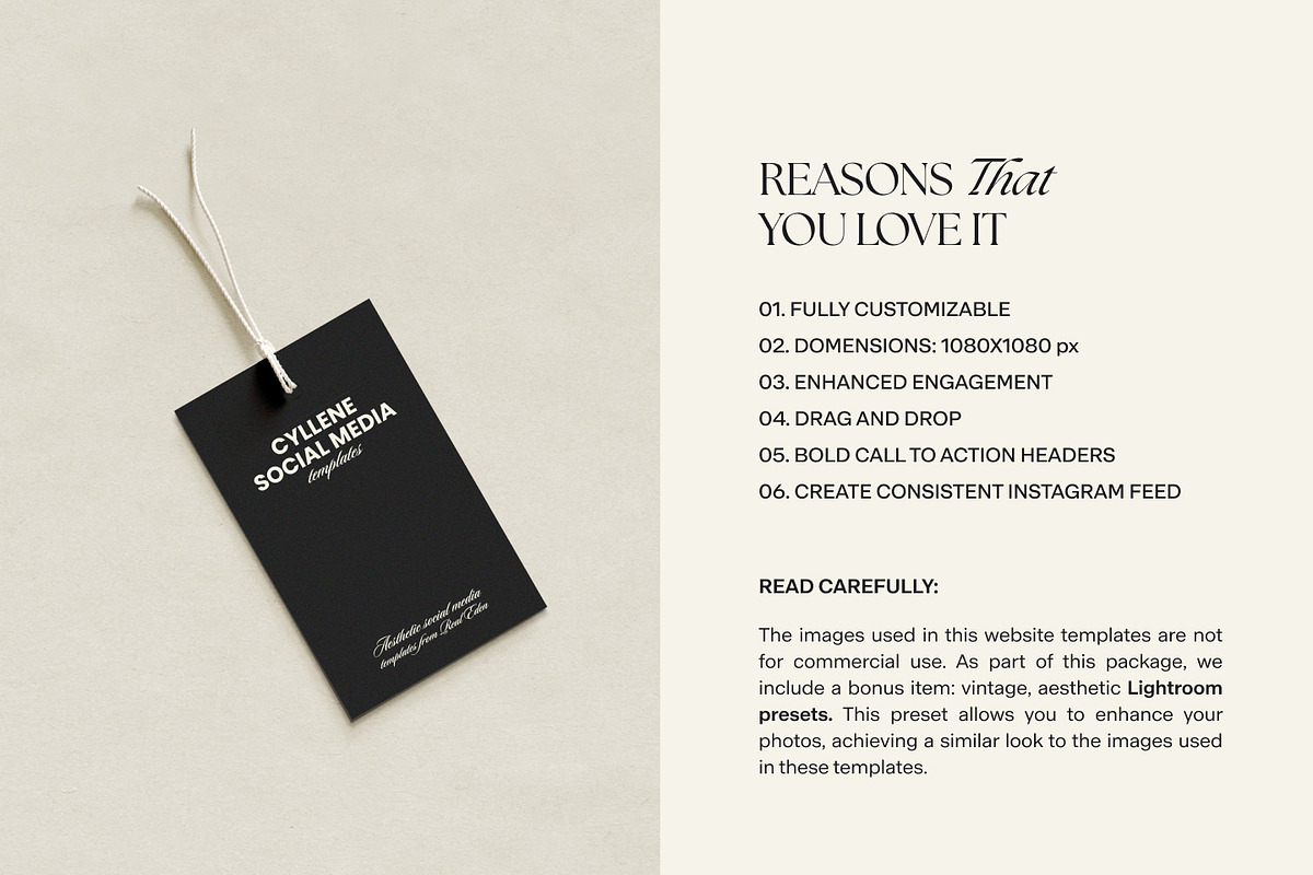 Cyllene | Showit & Canva Template, a Landing Page Template by Lavinia Visuals (Photo 9 of 10)