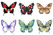 Colorful Butterflies Watercolor Set, an Illustration by Pixels.Craft (Thumbnail 10 of 11)