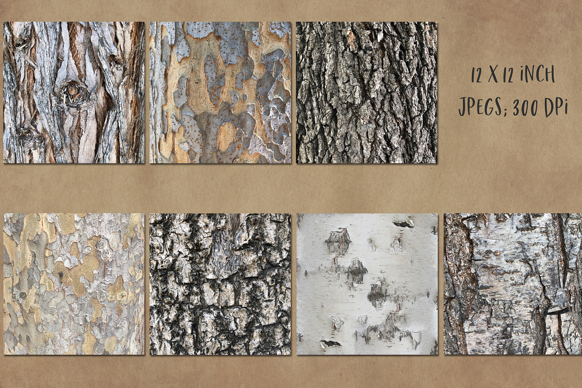 Tree bark and wood textures, a Texture Graphic by Paper Farms (Photo 2 of 3)