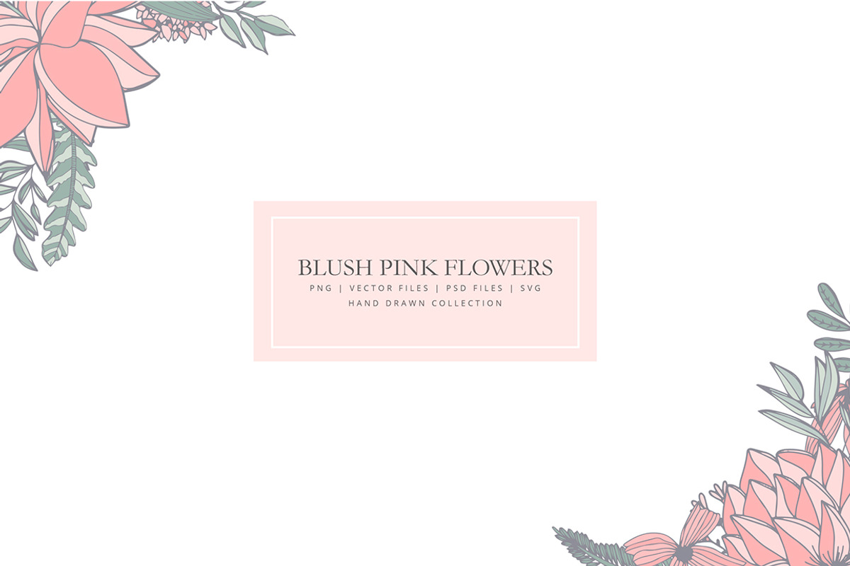 Clip art with blush pink flowers, a Graphic by AS Studio (Photo 2 of 5)