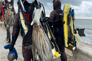 Anonymous spear fishers with their catch and equipment on coastline, a Photo by andreonegin market