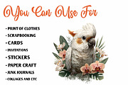 Whimsical Baby Tropical Animals, a Seasonal Illustration by CreationArt (Thumbnail 5 of 7)