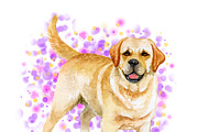 Watercolor Dogs - Collection 6 of 12, an Animal Illustration by Dneprstock (Thumbnail 4 of 4)