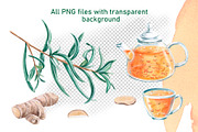 Sea Buckthorn and Ginger, a Food Illustration by SvetLana (Thumbnail 3 of 12)