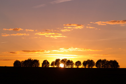 Evening landscape with silhouettes o containing sunset, landscape, and evening, a Nature Photo by oleghz