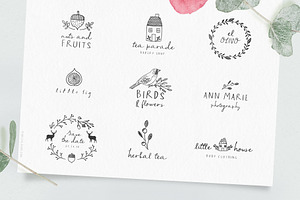 Script Font And Logos - Sage & Pink