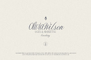 Timeless Editorial - Elegant Serif, a Script Font by AndrewPixelType (Thumbnail 13 of 17)