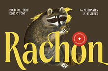 Rachon Bold Tall Display Serif