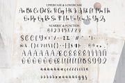 Vintage | Script Font, a Handwritten Font by Scratchones (Thumbnail 7 of 9)