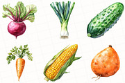 Vegetable Watercolor Clipart, an Illustration by OK Design (Thumbnail 5 of 5)
