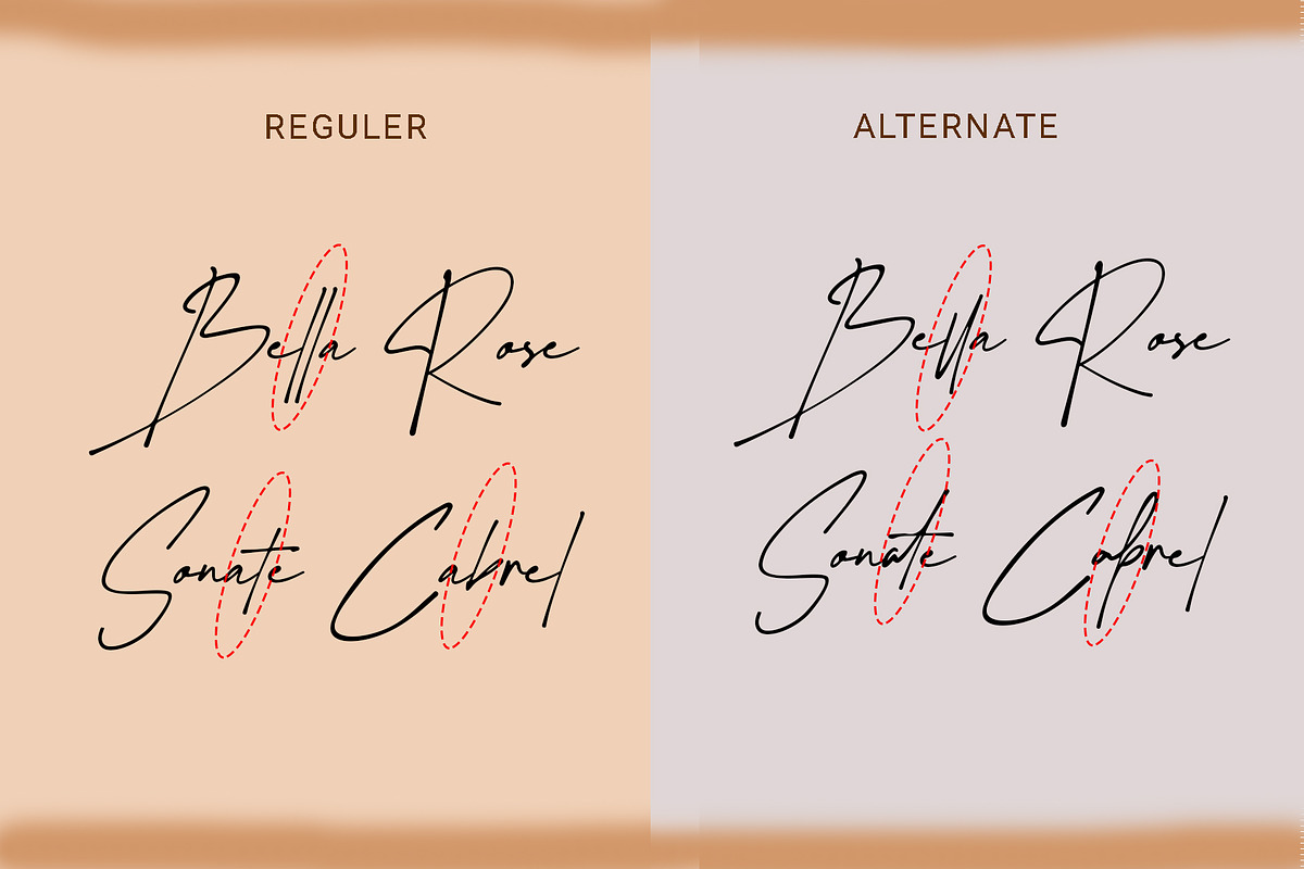 Sunset Beauty - Stylish Script Font, a Script Font by RHD Creative Studio (Photo 4 of 12)