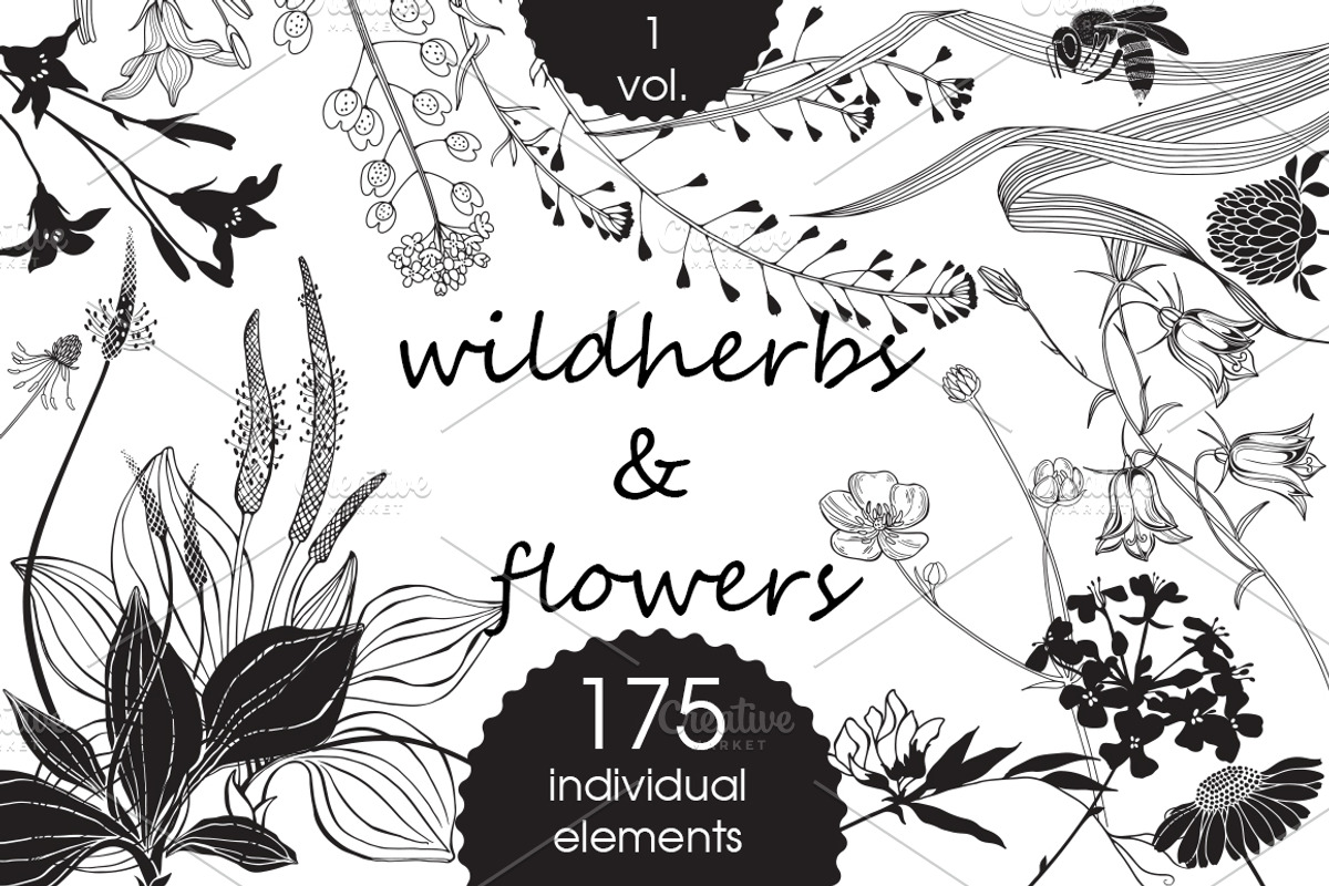 Wildherbs and flowers., an Object Graphic by maritime_m (Photo 1 of 8)