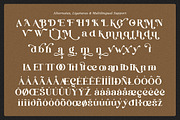 Nancey Wander - Classy Retro, a Serif Font by Qweera Studio (Thumbnail 9 of 10)