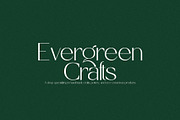 Stone&Orange - Elegant & Modern Sans, a Sans Serif Font by Mikhail Kitsune (Thumbnail 4 of 11)