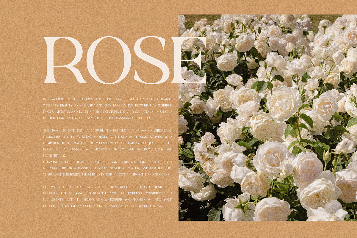 Rowun Elegant Serif Font Typeface, a Serif Font by Perfectype (Photo 6 of 10)