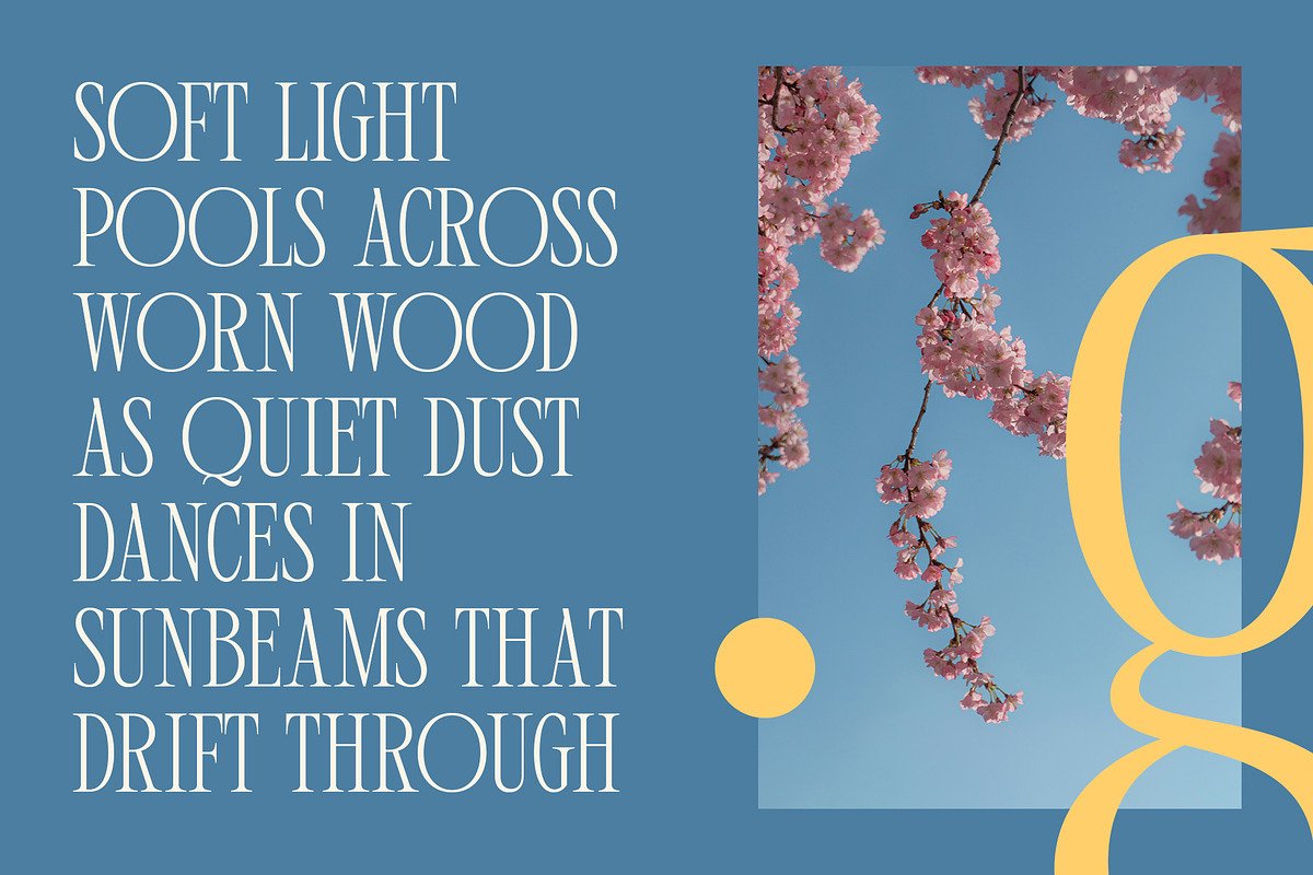 CS Quinary – Condensed Font, a Serif Font by Craft Supply Co. (Photo 2 of 8)