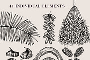 Dried Fruit set. Vector healthy food, a Food Illustration by Yevheniia (Thumbnail 6 of 8)