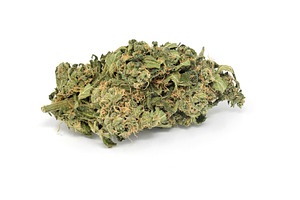 Cannabis marijuana weed close up