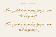 ED Fayetteville Script, a Script Font by Emyself Design (Thumbnail 4 of 8)