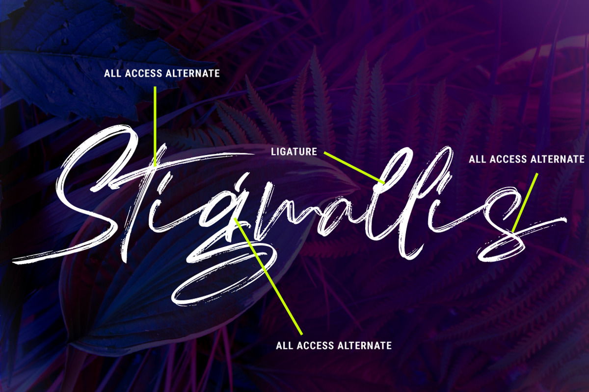 Thinkers - a Dry Brush Font, a Script Font by Vava Aryanto (Photo 4 of 12)