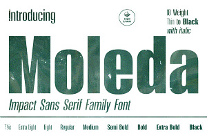 Moleda - Impact Sans Serif Family, a Font by haniefart