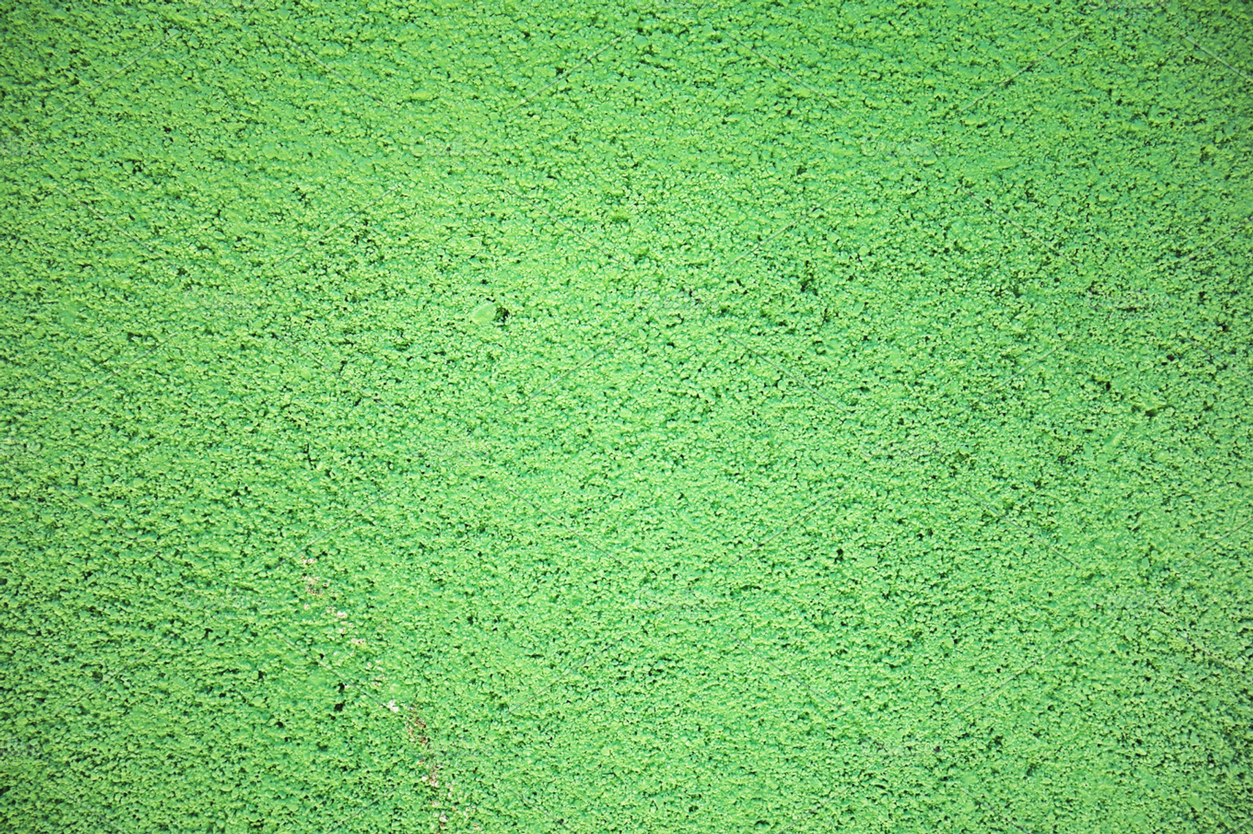 Grainy Green