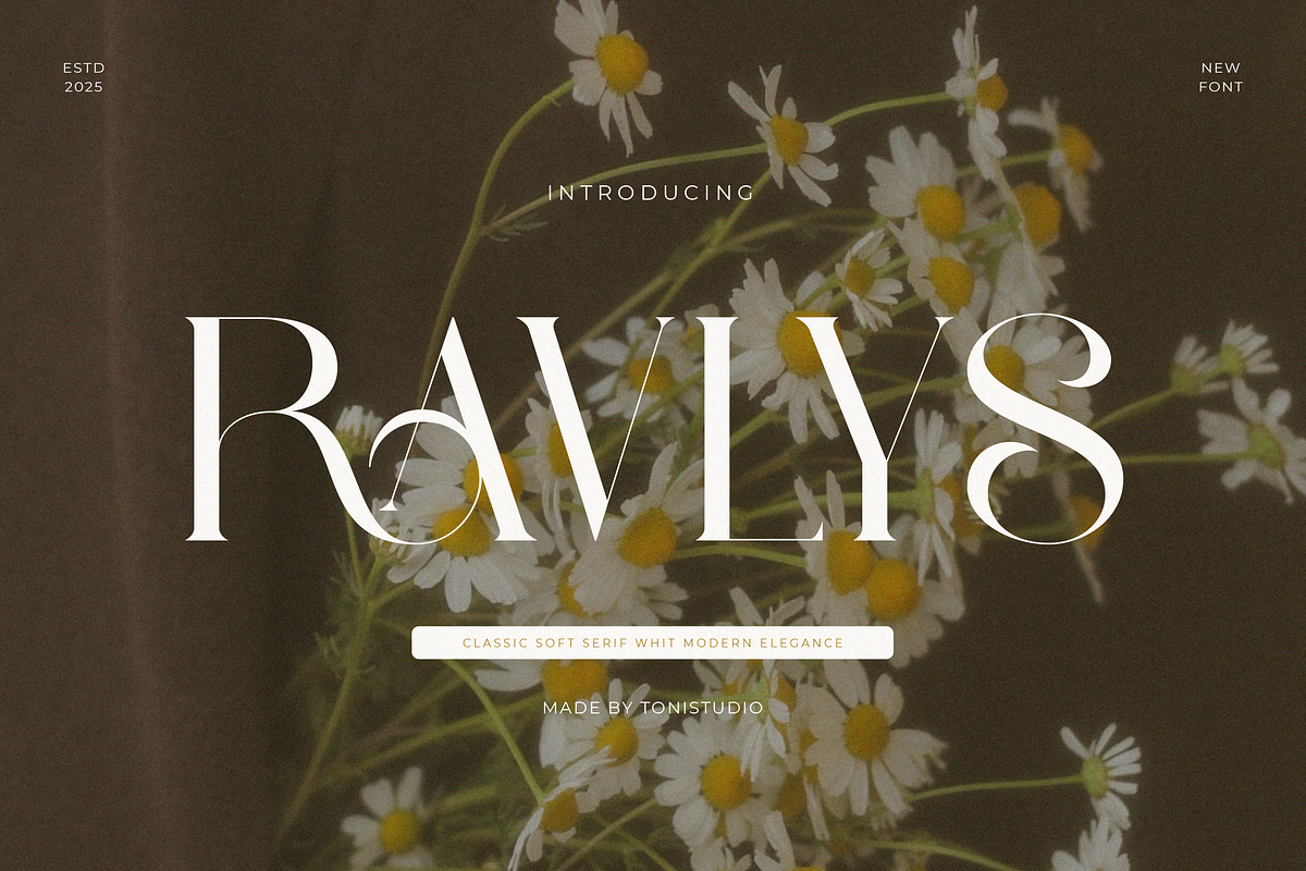 Ravlys - Classy serif, a Serif Font by ToniStudio (Photo 1 of 11)