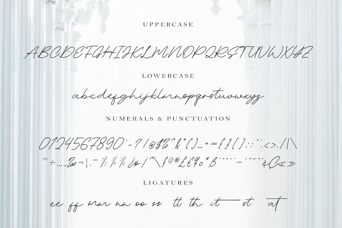 Asita Signature, a Script Font by Madjack.font (Photo 8 of 9)