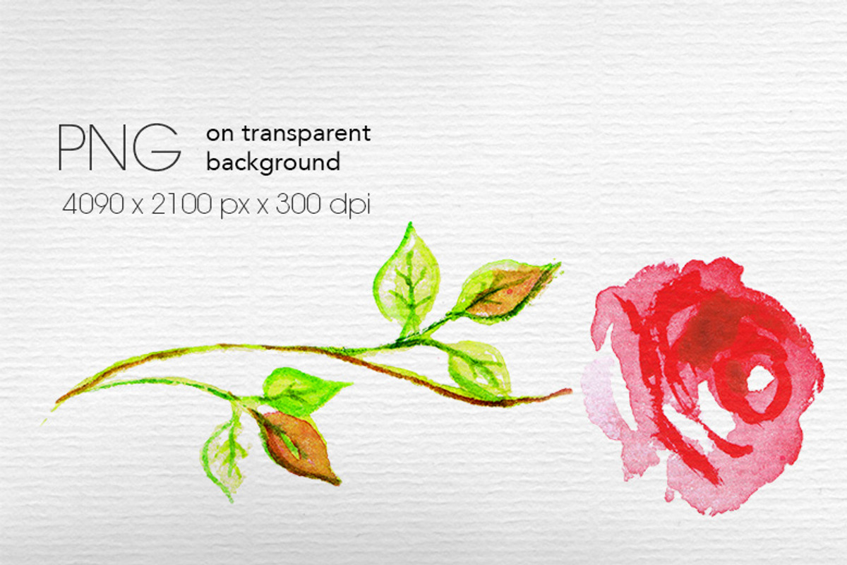 Set of watercolor flowers, a Decorative Illustration by ARSCOR (Photo 9 of 11)