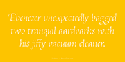 Scribana, a Script Font by preussTYPE (Thumbnail 3 of 8)