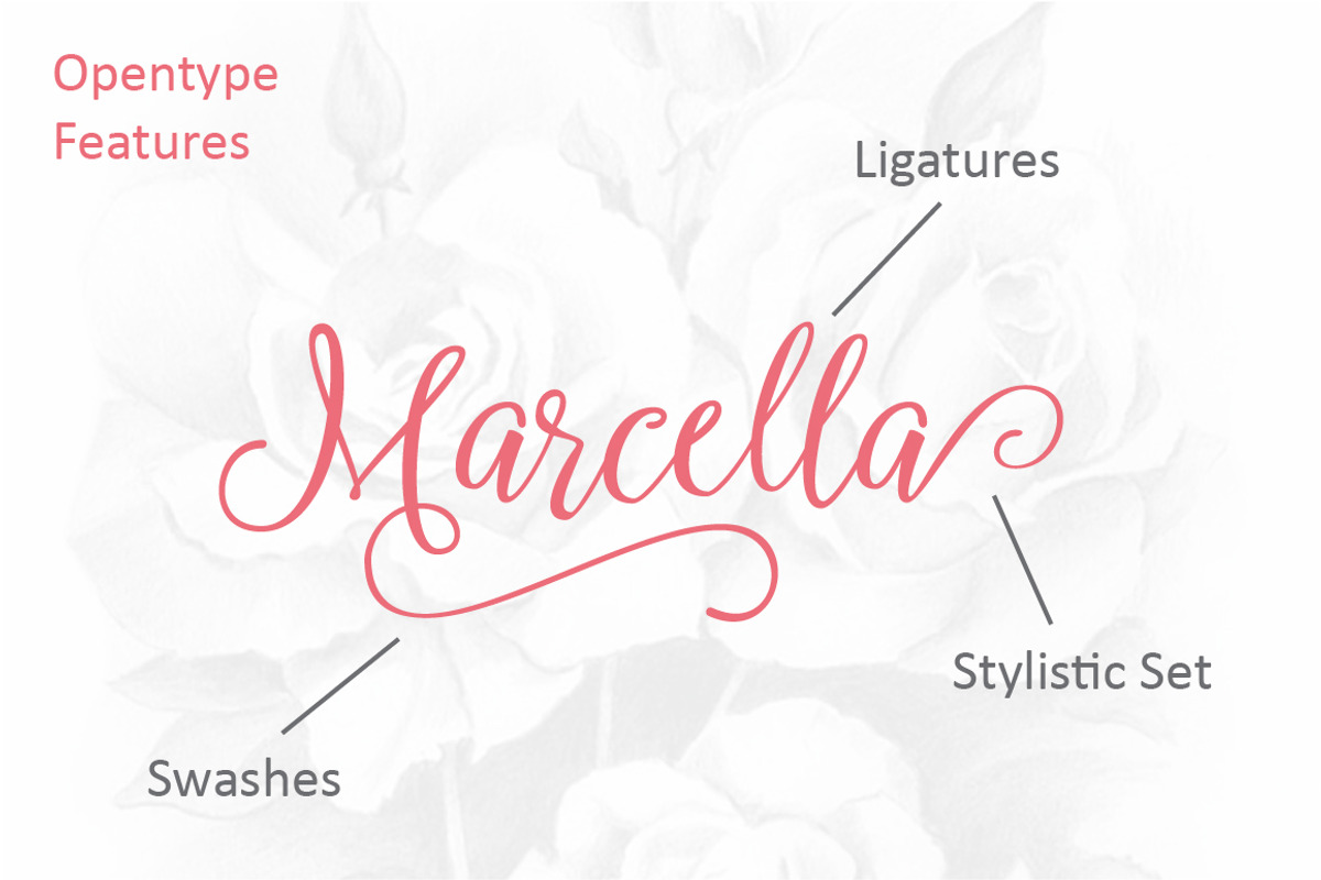 Marcella Script, a Script Font by ianmikraz (Photo 3 of 5)
