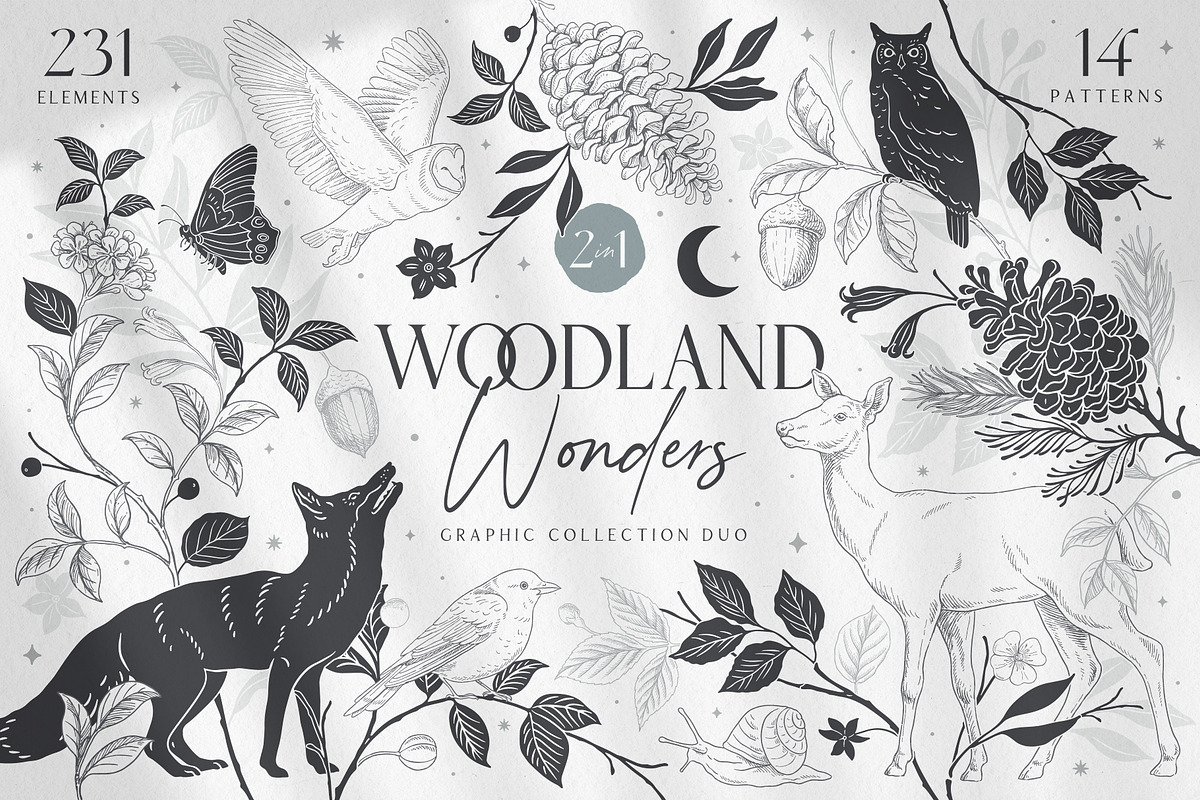 Woodland Wonders: 2 in 1 Graphic Set, a Decorative Illustration by rouxsupplyco (Photo 1 of 32)